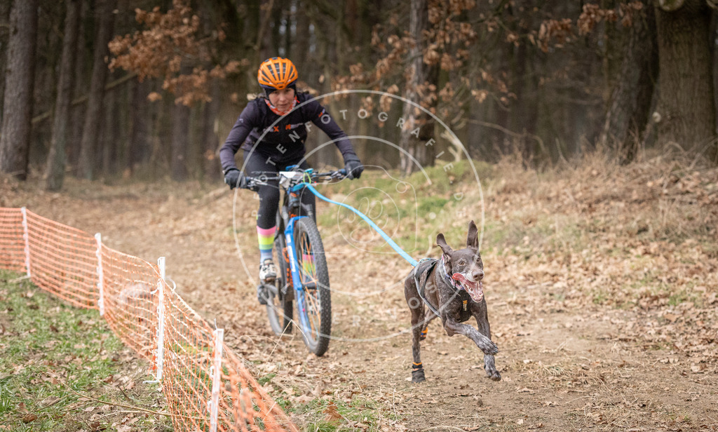 Pfotenfotografie_DV3A1365 | Hundefotografie, Tierfotograf, Pfotenfotografie, Fotoshooting Hund, Hunde Portrait, Hundesport, Hundeportraits, Heideshooting, Hunde, Sportfotograf, Hundefotograf, Turnierhundsport, THS,  - Realisiert mit Pictrs.com