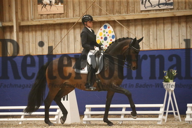 Turnier_Zeutern_2022_Prfg.Nr.02_Kurz-GrandPrix_Dorothee Schneider_sister Act MT OLD (1) | Alle Fotos der Reiterjournal Fotografin Doris Matthaes im Reiterjournal Online-Fotoshop. - Realisiert mit Pictrs.com