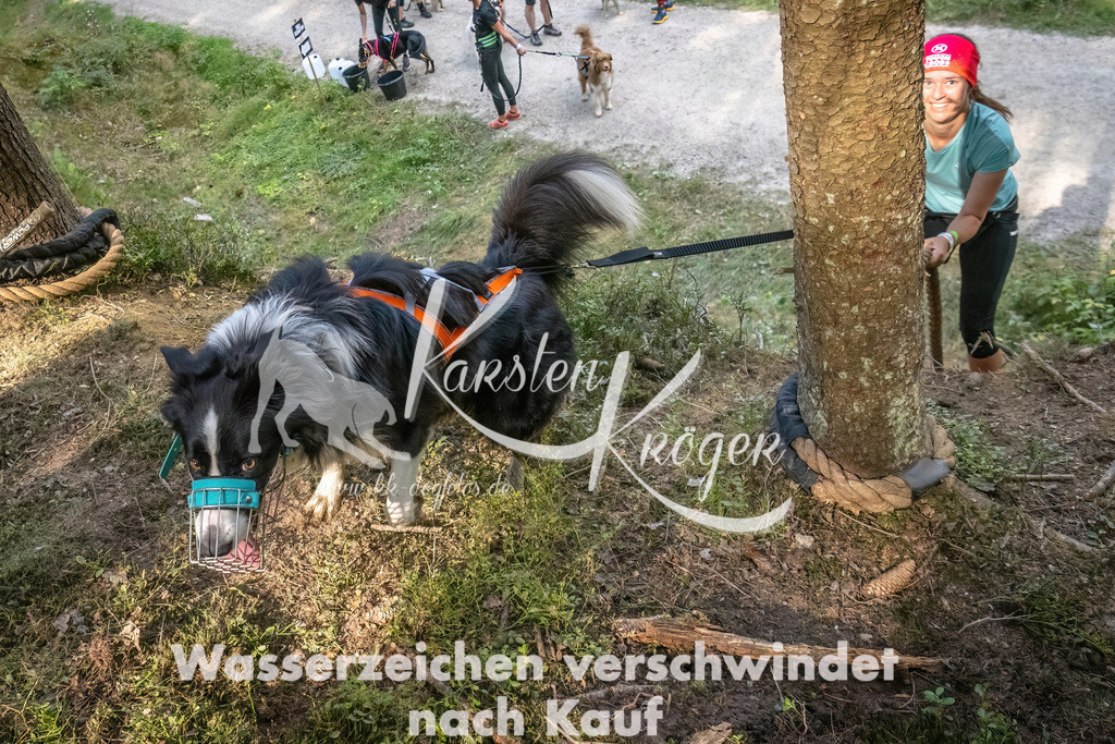 1051_ZZ93093 | kk-dogfotos