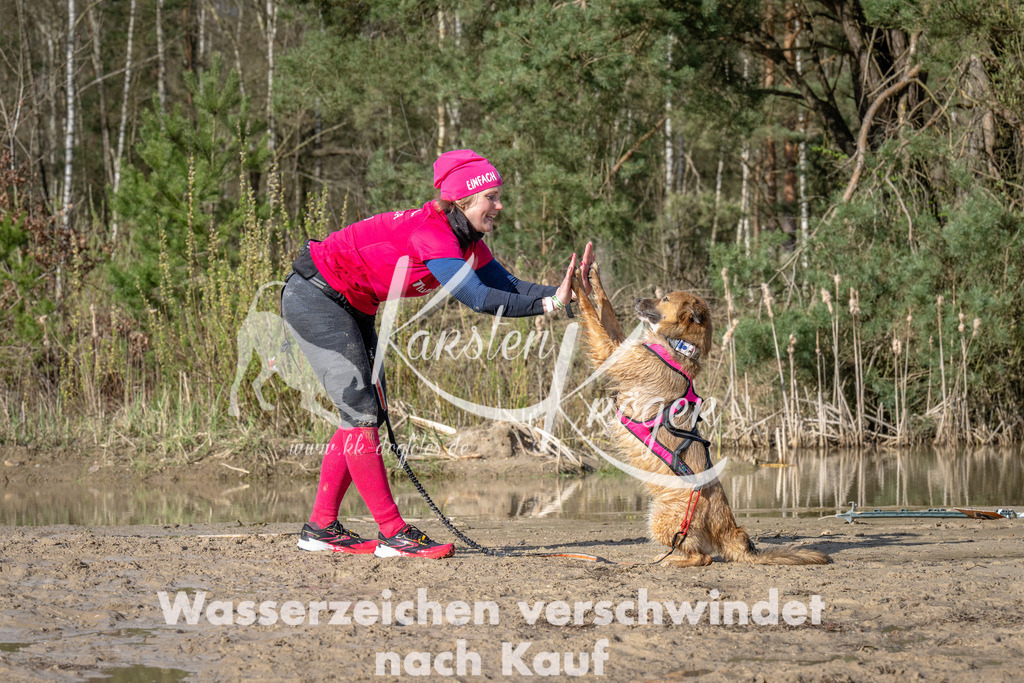 1511_ZZ91687 | kk-dogfotos