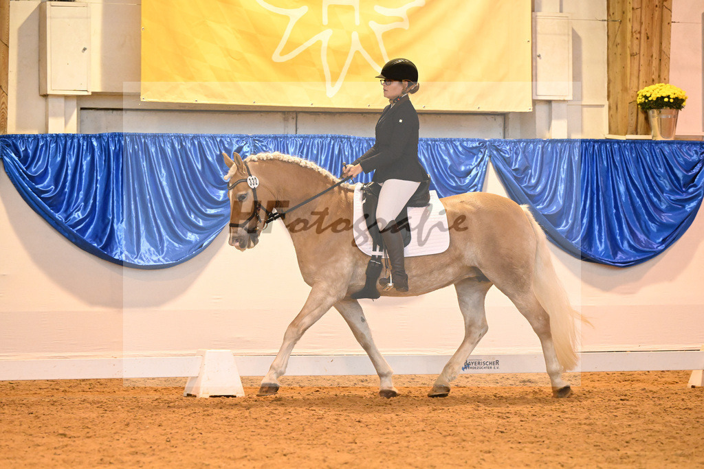 Kat-Nr. 332 Highlight_Schuler_54222286 | hf-fotografie - Realisiert mit Pictrs.com