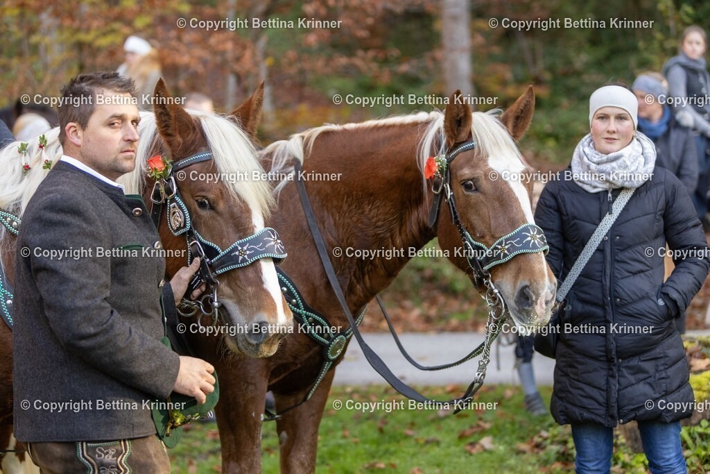LL24-262 | foto-bettina-krinner - Realisiert mit Pictrs.com