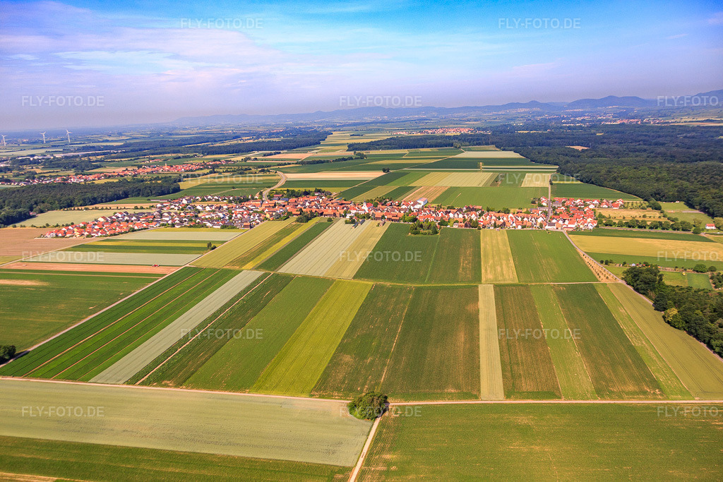 Luftbild: Ortsansicht von Osten im Ortsteil Hayna in Herxheim im Bundesland Rheinland-Pfalz in Deutschland. Foto: IMG_081022.jpg vom 14.06.2015 durch Werner Riehm/FLY-FOTO.de