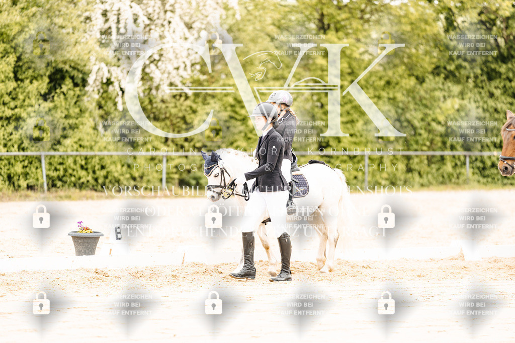 CK903733 | Turnierfotografie Pferdefotografie Trier Rheinland-Pfalz Pferdesport Reitsport Tierfotografie Sportfotografie Pferdevideo Pferdevideografie Equestrianvideography equestrianphotography  - Realisiert mit Pictrs.com