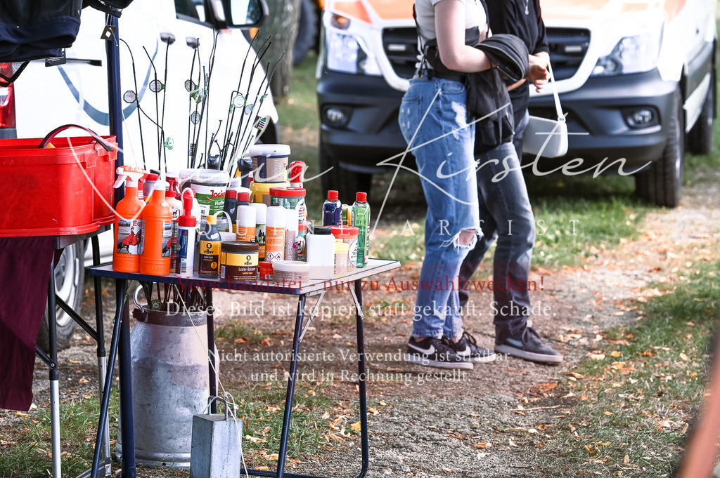 DSC_7068 | Pferde- und Turnierfotografie in Westsachsen. Pferdeportraits, Auftragszeichnungen und intuitive Kunst.