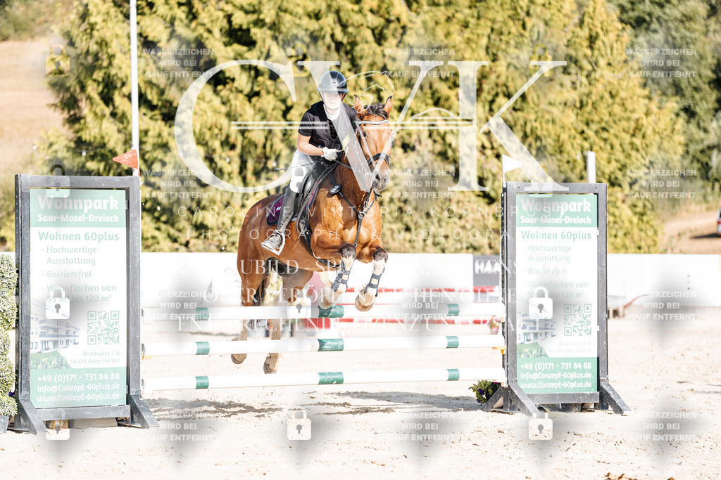CK909370 | Turnierfotografie Pferdefotografie Trier Rheinland-Pfalz Pferdesport Reitsport Tierfotografie Sportfotografie Pferdevideo Pferdevideografie Equestrianvideography equestrianphotography  - Realisiert mit Pictrs.com