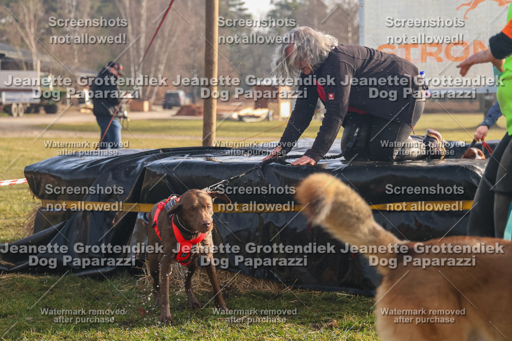 Dog Paparazzi - SD North 0326 900930-218 | Dog Paparazzi Jeanette Grottendiek Fotografie & Videografie - Realisiert mit Pictrs.com
