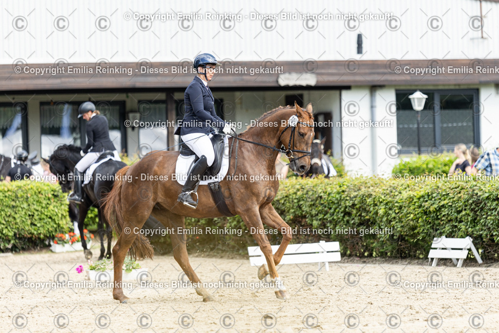 CL5A5039-2 | Emilia Reinking Fotografie - Realisiert mit Pictrs.com