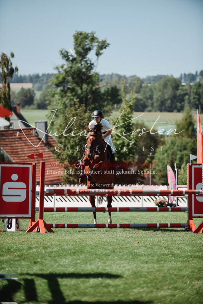 DSC_3156 | Pferde- und Turnierfotografie in Westsachsen. Pferdeportraits, Auftragszeichnungen und intuitive Kunst.