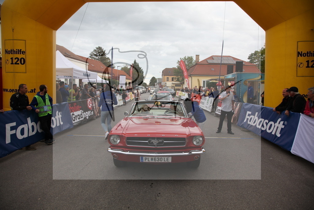 IMG_6548 | Gerhard Witt