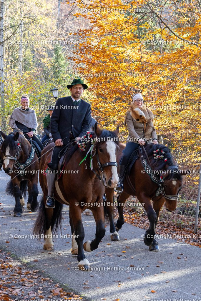 LL24-348 | foto-bettina-krinner - Realisiert mit Pictrs.com