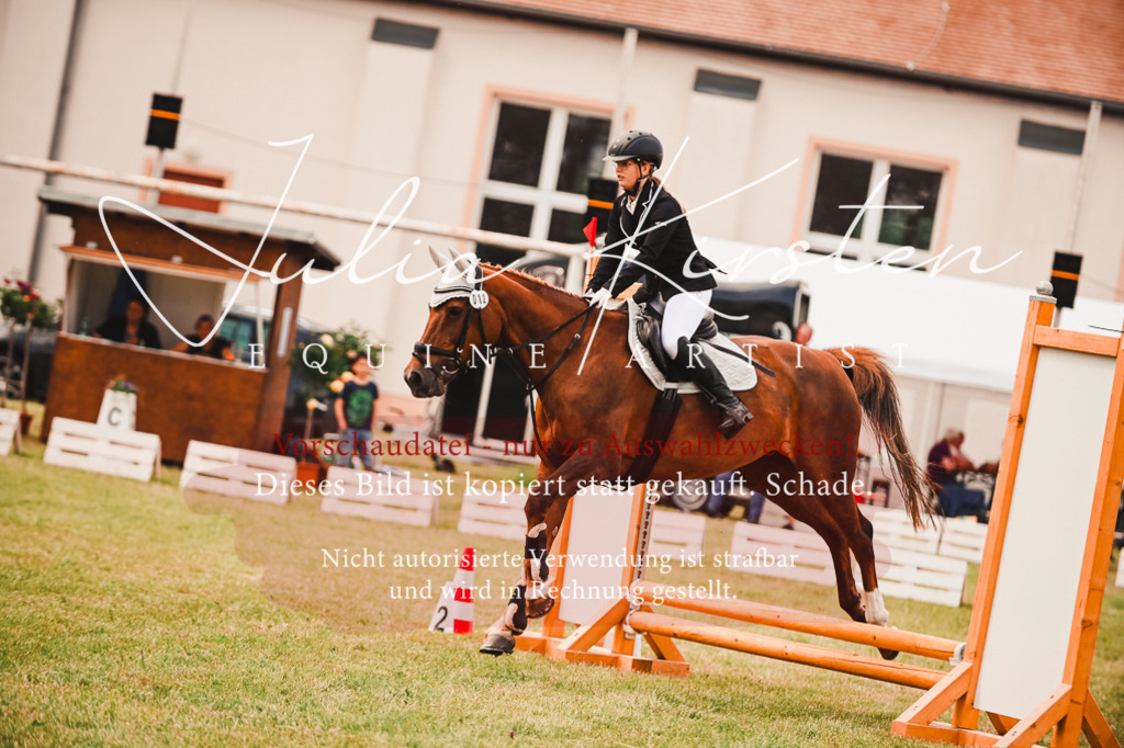 DSC_6867 | Pferde- und Turnierfotografie in Westsachsen. Pferdeportraits, Auftragszeichnungen und intuitive Kunst.