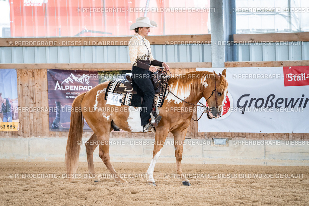 DSC02261 | Pferdegrafie