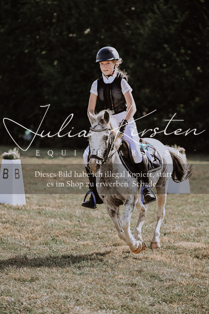 DSC_9546 | Pferde- und Turnierfotografie in Westsachsen. Pferdeportraits, Auftragszeichnungen und intuitive Kunst.