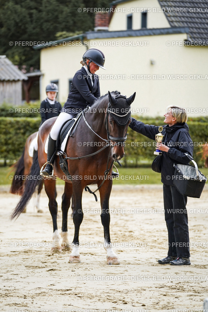 DSC04956 | Pferdegrafie