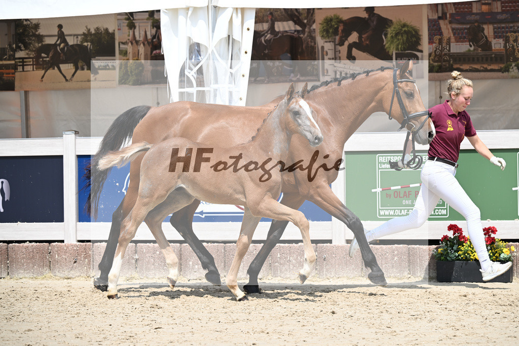 Arezzo Man x Clearway_HF_Maier u Mayerfoels_12250684 | hf-fotografie - Realisiert mit Pictrs.com