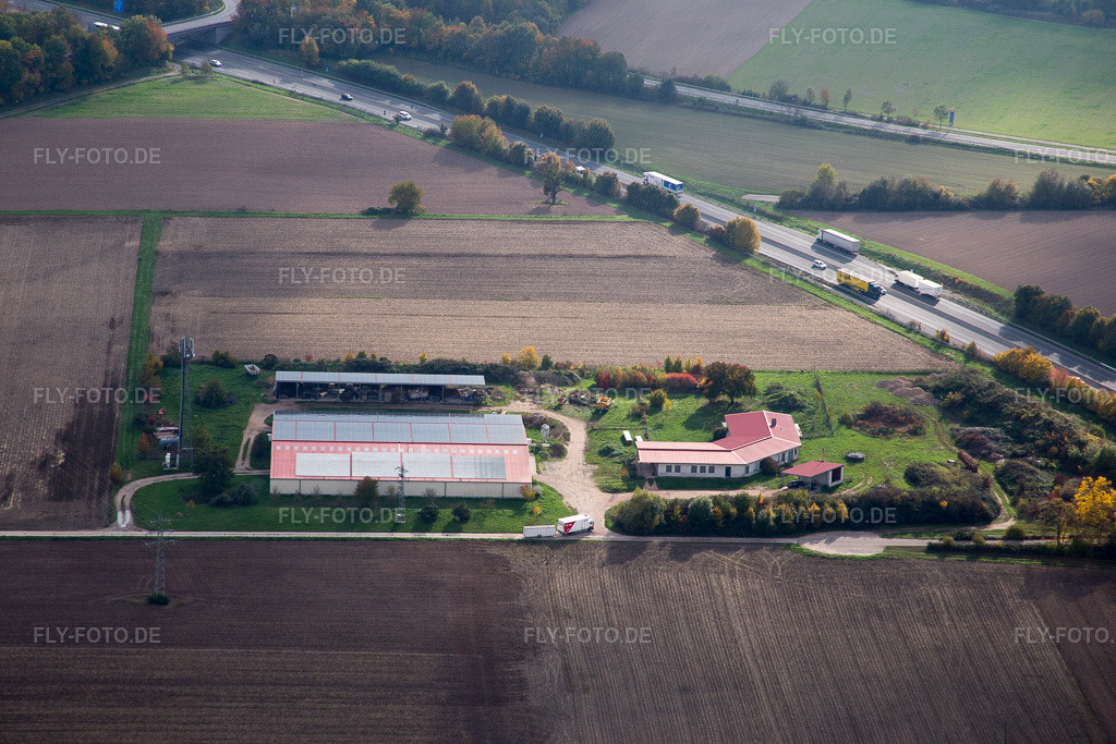Luftbild: Eierfarm in Erlenbach bei Kandel im Bundesland Rheinland-Pfalz in Deutschland. Foto: IMG_084552.jpg vom 23.10.2015 durch Werner Riehm/FLY-FOTO.de