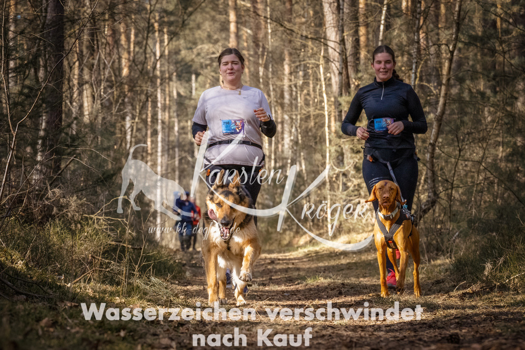 1123_ZZ90788-Bearbeitet | kk-dogfotos