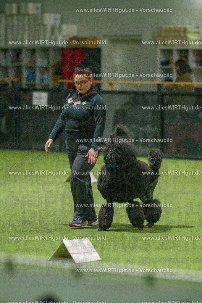 7R508811 | Professionelle Tierfotografie in Mönchengladbach von Daniel Wirth (allesWIRTHgut). Liebevolle & natürliche Bilder von Hunden & Katzen für unvergessliche Erinnerungen.