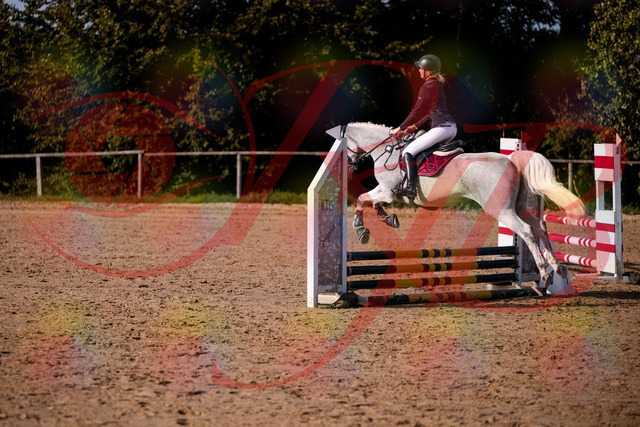 2026_10_03_Siefer-Hof_155107_Z81_69781044 | Professionelle Reitsport-, Turnier- und Eventfotografie von Robert Broda. Galerien mit ausgewählten und bearbeiteten Bildern direkt online ansehen und bestellen.