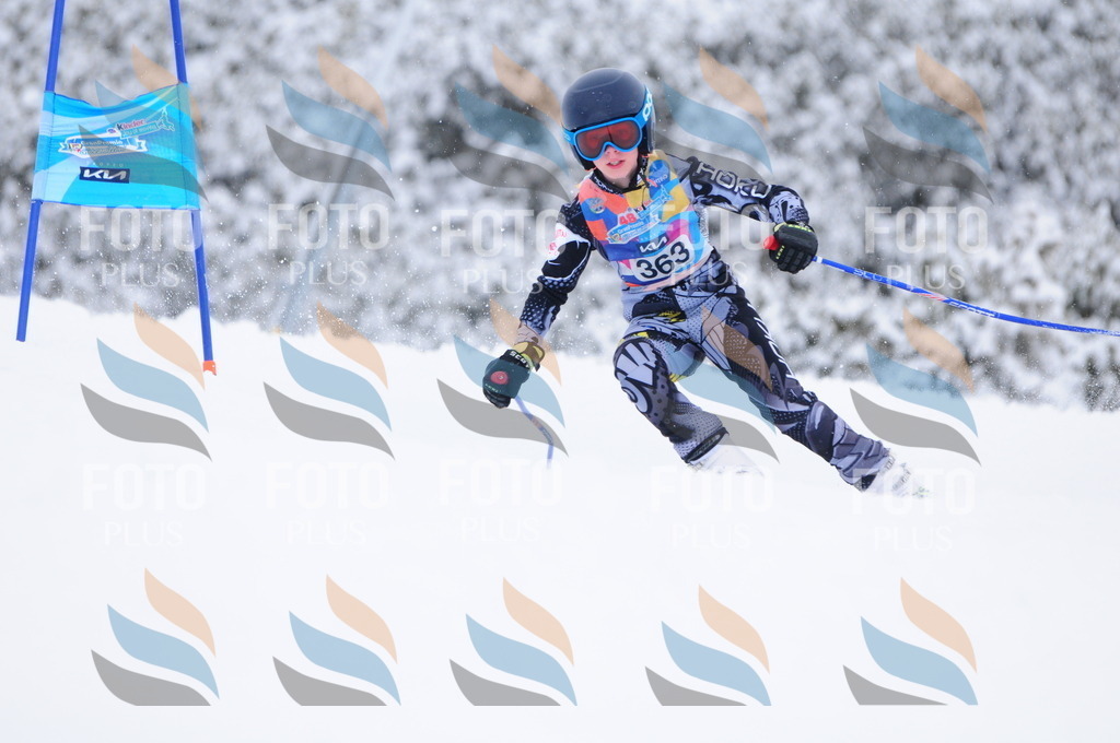 C3872 | holidayphoto