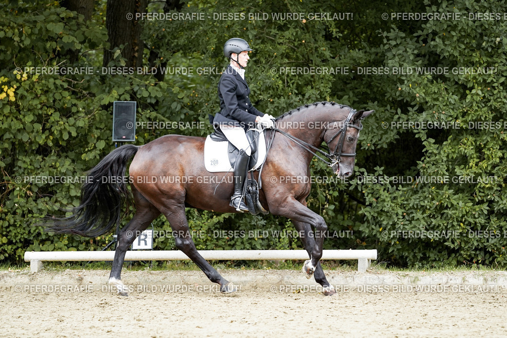 DSC05919 | Pferdegrafie