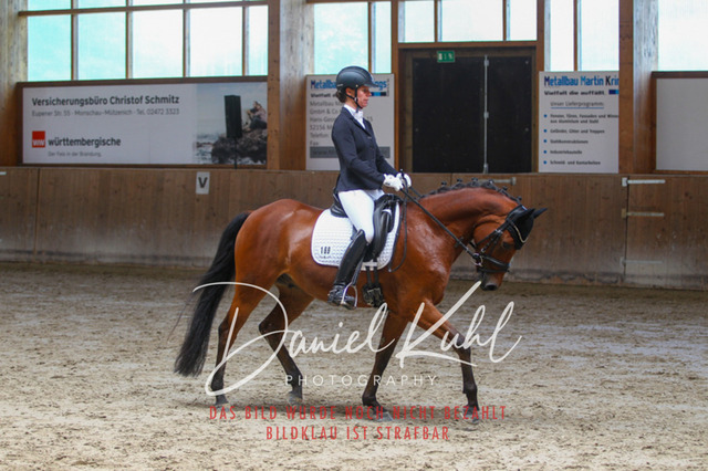 DKP43344 | Turniersportfotografie; Pferdefotografie; Dressurfotografie