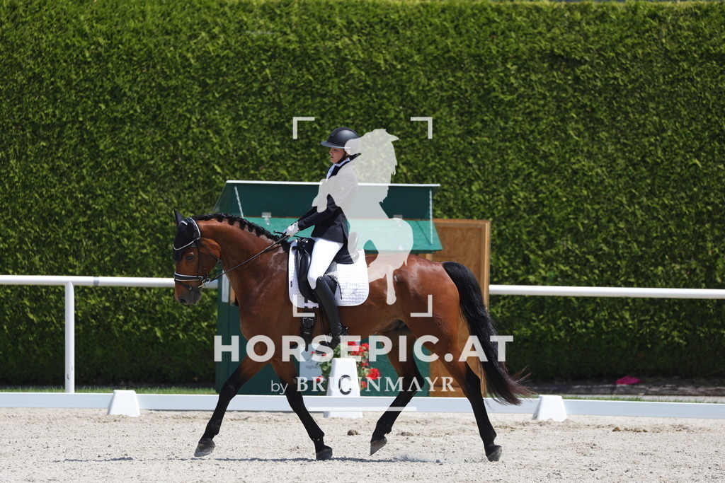 0P6A5806 | Willkommen bei Brunnmayr - Design & Fotografie – Ihrem Spezialisten für Reitturniere und Pferdeveranstaltungen in Oberösterreich, Salzburg und Bayern! Seit über 17 Jahren sind wir leidenschaftlich dabei.