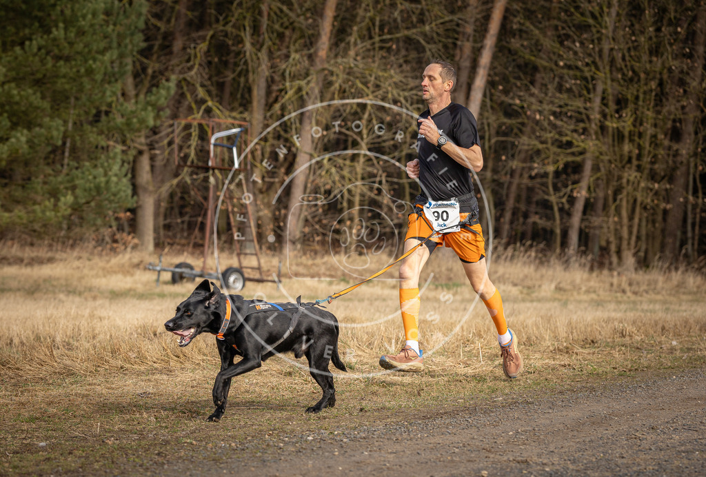 DV3A3817 | Hundefotografie, Tierfotograf, Pfotenfotografie, Fotoshooting Hund, Hunde Portrait, Hundesport, Hundeportraits, Heideshooting, Hunde, Sportfotograf, Hundefotograf, Turnierhundsport, THS,  - Realisiert mit Pictrs.com