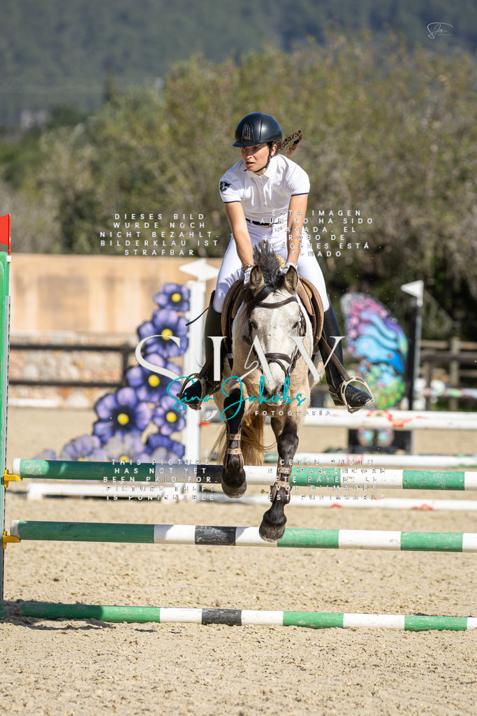 IMG_6186 | s-jay-photography - Realisiert mit Pictrs.com