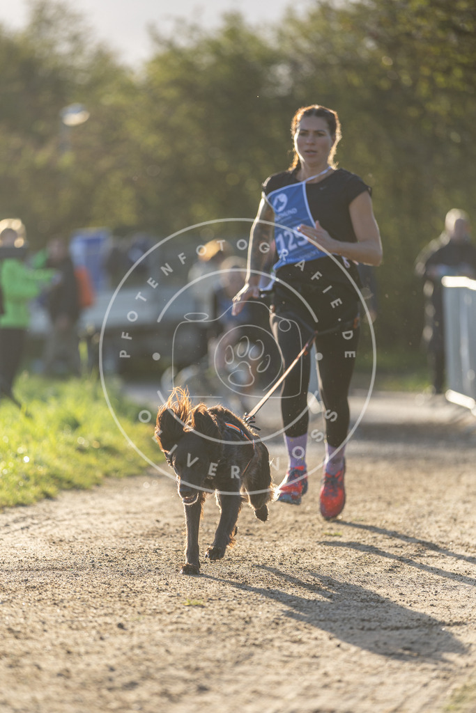 Pfotenfotografie.de_DV3A2972 | Hundefotografie, Tierfotograf, Pfotenfotografie, Fotoshooting Hund, Hunde Portrait, Hundesport, Hundeportraits, Heideshooting, Hunde, Sportfotograf, Hundefotograf, Turnierhundsport, THS, canicross - Realisiert mit Pictrs.com