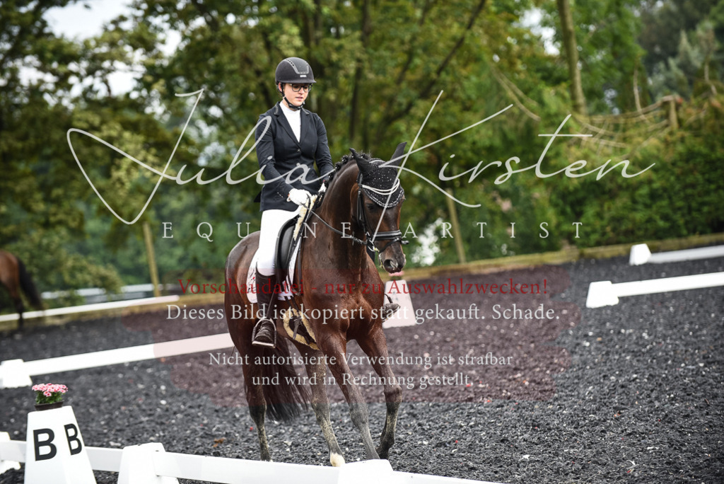 DSC_3015 | Pferde- und Turnierfotografie in Westsachsen. Pferdeportraits, Auftragszeichnungen und intuitive Kunst.