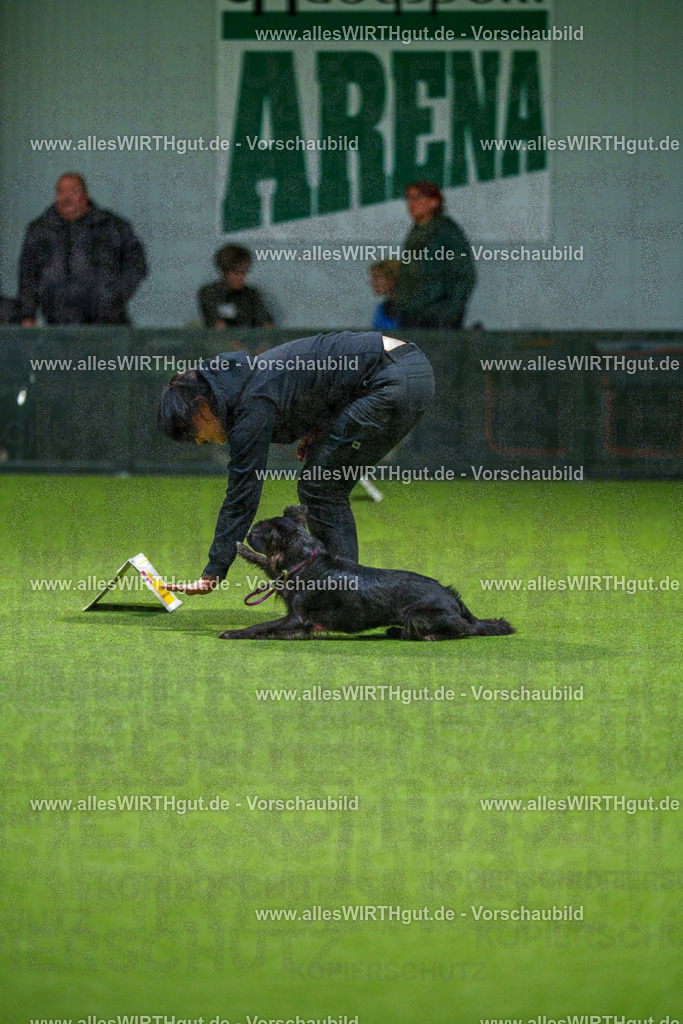 7R505744 | Professionelle Tierfotografie in Mönchengladbach von Daniel Wirth (allesWIRTHgut). Liebevolle & natürliche Bilder von Hunden & Katzen für unvergessliche Erinnerungen.