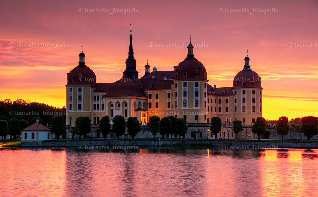 _DSC8700 (1) | tuerschis_fotografie - Realisiert mit Pictrs.com