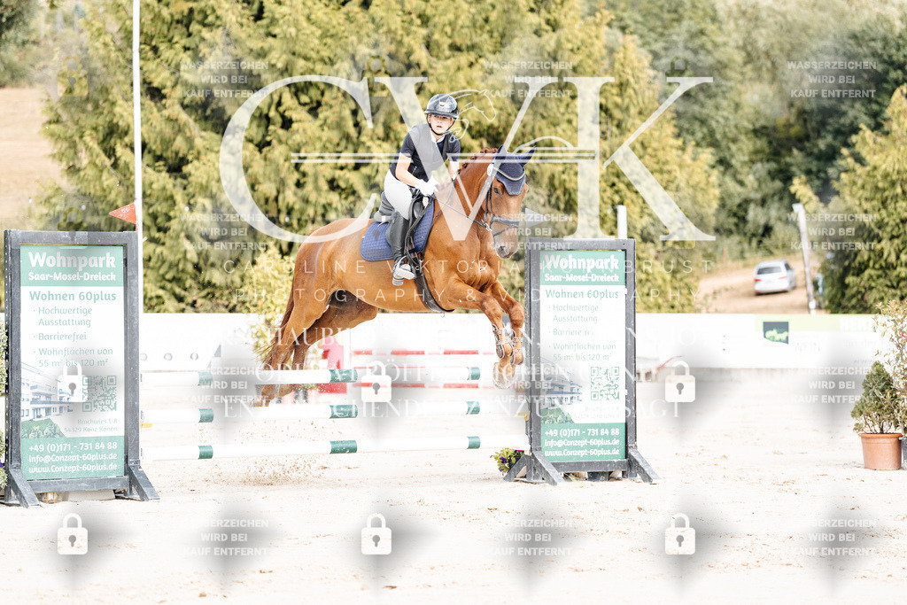 CK908989 | Turnierfotografie Pferdefotografie Trier Rheinland-Pfalz Pferdesport Reitsport Tierfotografie Sportfotografie Pferdevideo Pferdevideografie Equestrianvideography equestrianphotography  - Realisiert mit Pictrs.com