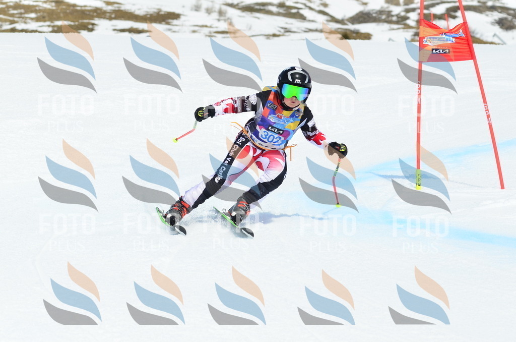 _ELE2219 | holidayphoto