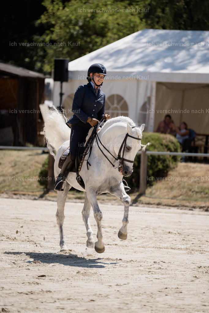 WM_ST_28_stoibphotography__SO11268 | working equitationturnier fotograf videograf stoibphotography marixx film working equitation deutschland reitsport turnierfotografie eventfotografie equestrian events
