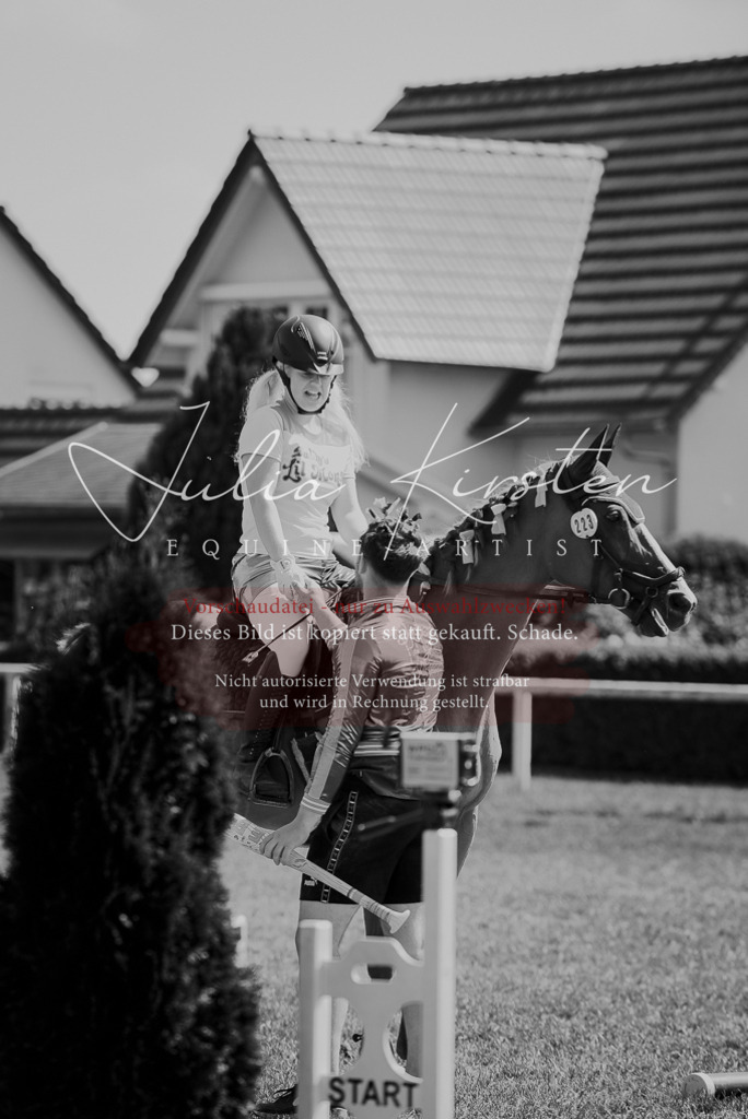DSC_0348 | Pferde- und Turnierfotografie in Westsachsen. Pferdeportraits, Auftragszeichnungen und intuitive Kunst.