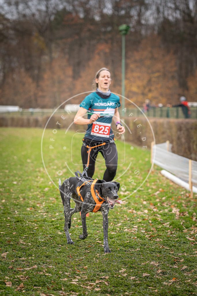 CaniXpix_DV3A6426 | Hundefotografie, Tierfotograf, Pfotenfotografie, Fotoshooting Hund, Hunde Portrait, Hundesport, Hundeportraits, Heideshooting, Hunde, Sportfotograf, Hundefotograf, Turnierhundsport, THS,  - Realisiert mit Pictrs.com