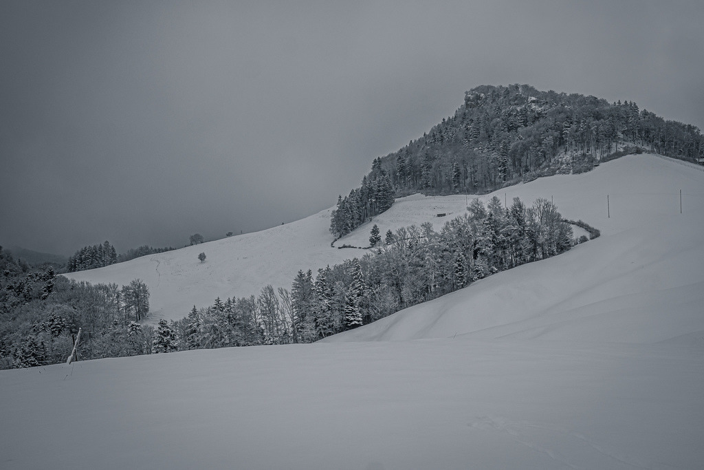Winterliche Stimmung am Morgen auf der Challhöchi | Schöne Fotografien aus der Stadt und der Natur zum bestellen oder selber hochladen. Druck auf Foto, Postkarte, Kalender, FineArt Hahnemühle, Alu-Dibond , Akustikbilder zur Absorption von Schall und Lärm etc. - Realisiert mit Pictrs.com