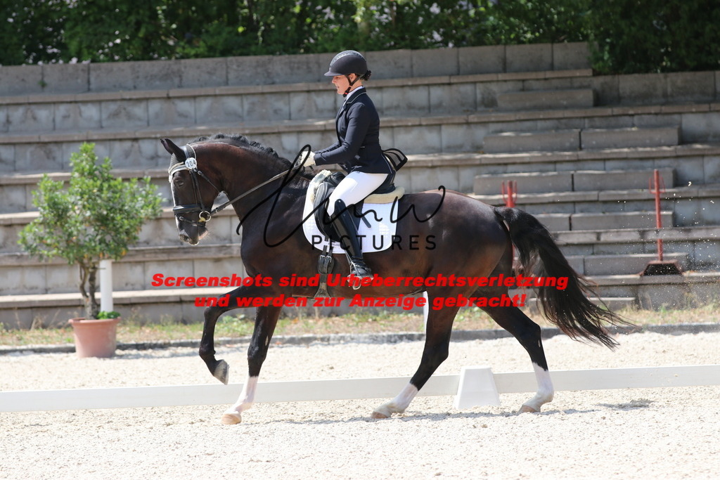 IMG_4701 | lmwpictures - Realisiert mit Pictrs.com