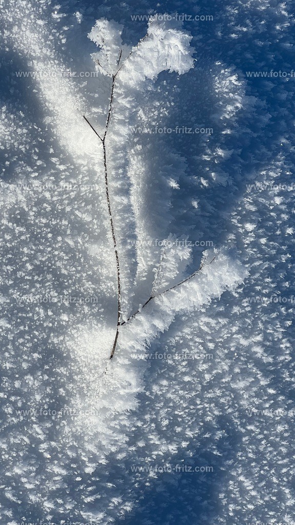 IMG_E6753 | www.foto-fritz.com - Realisiert mit Pictrs.com