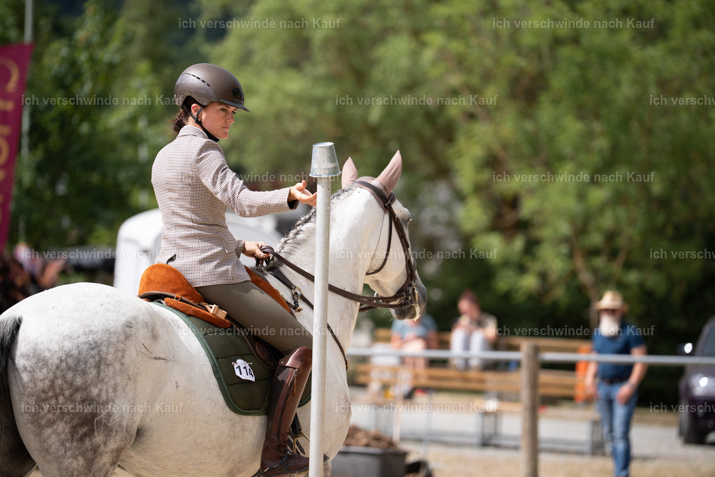 WL_ST_114_stoibphotography__SO10667 | working equitationturnier fotograf videograf stoibphotography marixx film working equitation deutschland reitsport turnierfotografie eventfotografie equestrian events