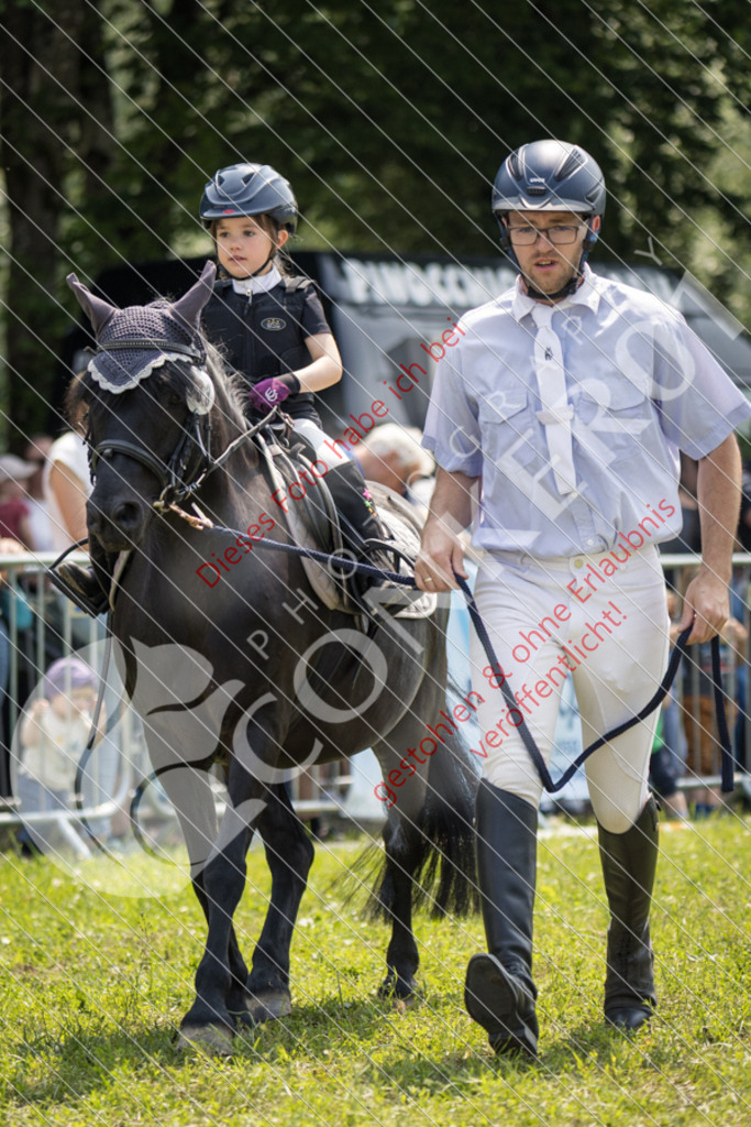 IMG_0268 | Sport-, Event- und Tierfotos in Profiqualität. Einfach auswählen, bestellen und herunterladen. Dein Moment – perfekt festgehalten.