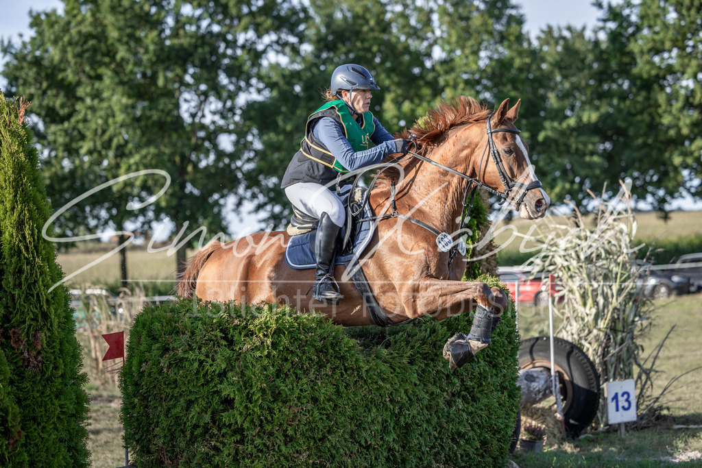 20250907-_3LI4509 | Tierfotografie Pferde, Hunde, Katzen, Haustiere.
Turnierfotografie Reitturniere, Reiten, Springreiten, Dressur in Hanau, dem Main-Kinzig-Kreis und dem Rhein-Main- Gebiet um Frankfurt