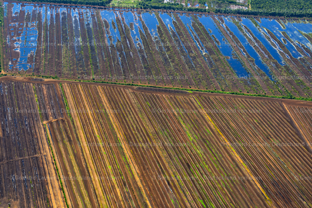 3620613 | Steinhuder Moor