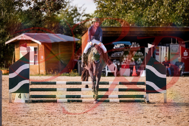 2026_10_03_Siefer-Hof_160119_Z81_82092275 | Professionelle Reitsport-, Turnier- und Eventfotografie von Robert Broda. Galerien mit ausgewählten und bearbeiteten Bildern direkt online ansehen und bestellen.