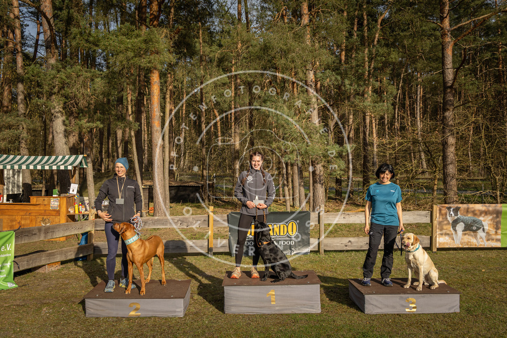 Pfotenfotografie_DV3A3899 | Hundefotografie, Tierfotograf, Pfotenfotografie, Fotoshooting Hund, Hunde Portrait, Hundesport, Hundeportraits, Heideshooting, Hunde, Sportfotograf, Hundefotograf, Turnierhundsport, THS,  - Realisiert mit Pictrs.com