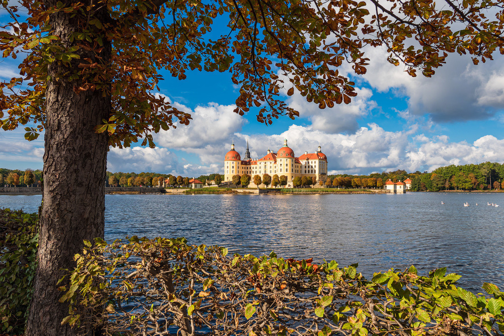 Blick auf das Schloss Moritzburg in Sachsen | Blick auf das Schloss Moritzburg in Sachsen.
