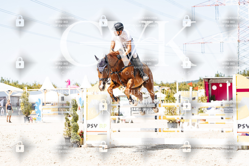 CK909809 | Turnierfotografie Pferdefotografie Trier Rheinland-Pfalz Pferdesport Reitsport Tierfotografie Sportfotografie Pferdevideo Pferdevideografie Equestrianvideography equestrianphotography  - Realisiert mit Pictrs.com